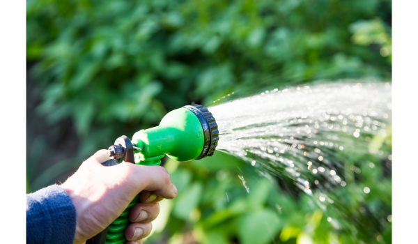 Watering Garden